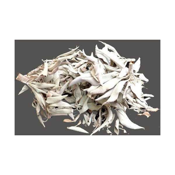 Sachet de feuilles de sauge blanche séchée 25 g -  Encens résine