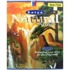 Encens batons satya natural 45 gr