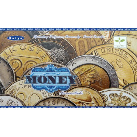 Encens bâtons satya money 15g.