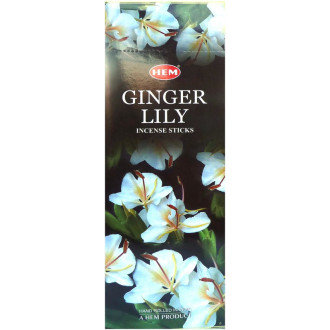 Encens bâtons Hem gingembre lys 20 gr. - Batons d\'encens
