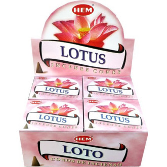 Encens cônes Hem lotus