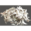 Weißer Salbei 75 gr