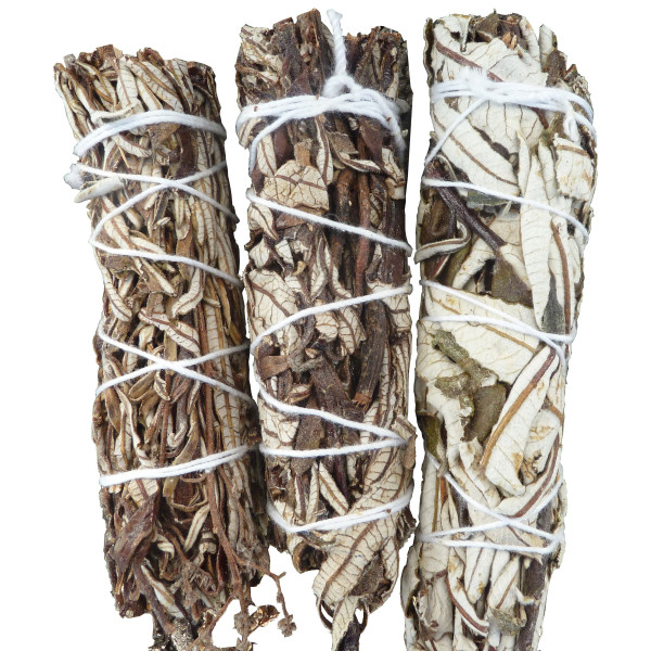 Beifuß - Schwarzer Salbei in Bündeln von 30 gr