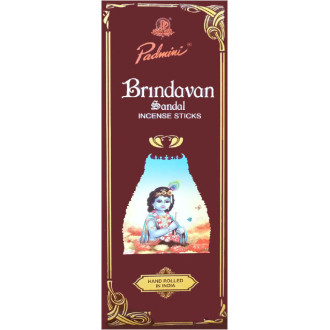 Encens batons padmini brindivar 20 gr