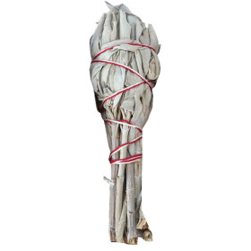 Sauge blanche en fagotin 15gr