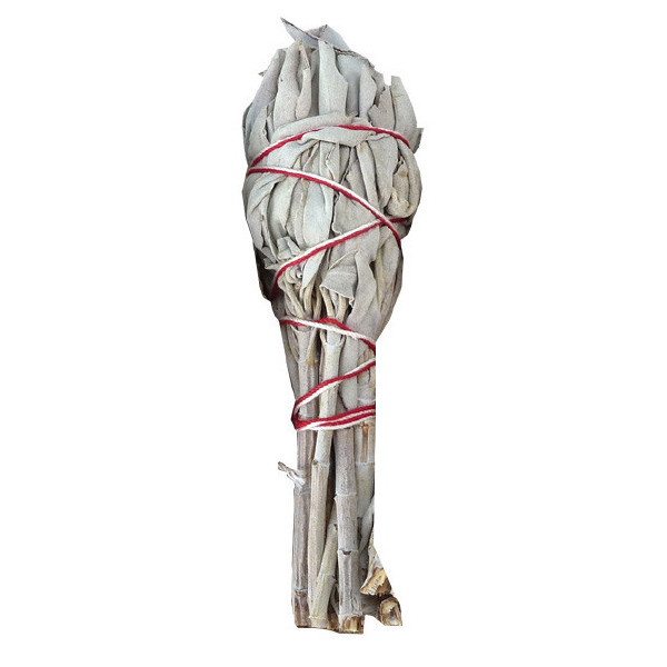 Sauge blanche en fagotin tulipe 25 gr -  Encens résine