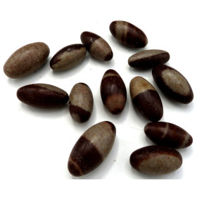 Shiva Lingam - Oeuf cosmique