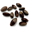 Shiva Lingam - Kosmisches Ei
