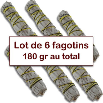 Lot de 6 fagotins Sauge blanche