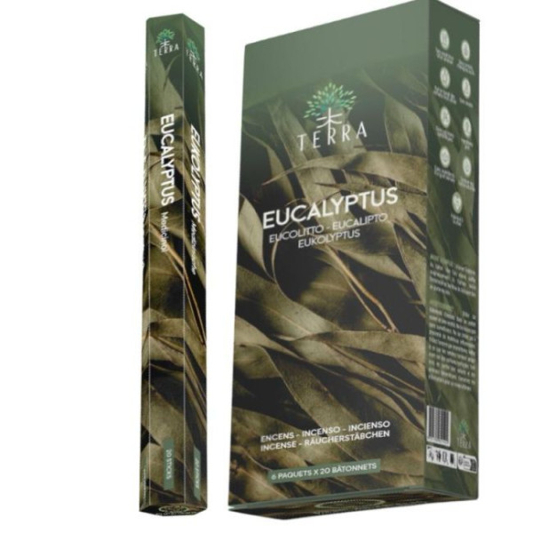 Encens bâtons Terra eucalyptus 30 gr