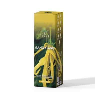 Encens bâtons Terra ylang ylang 12 gr