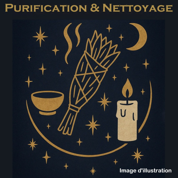 Purification & Nettoyage