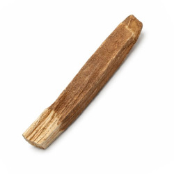 Bâtonnet de bois de Palo Santo et cannelle