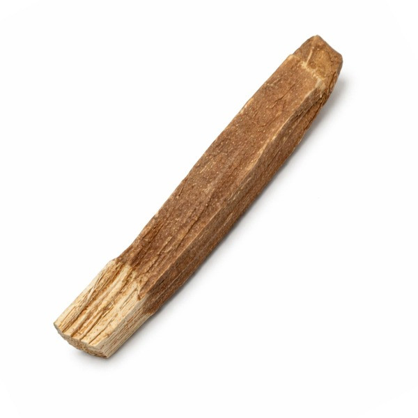 Bâtonnet de bois de Palo Santo et cannelle à l'unité