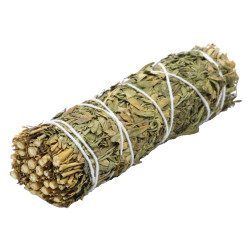 Arruda en fagotin de 25 gr