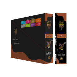 Encens Ethnic Vibes palo santo 15 gr