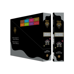 Encens Ethnic Vibes palo santo et sauge blanche 15 gr