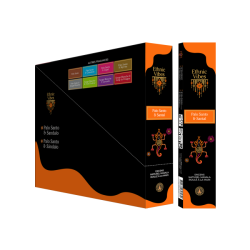 Encens Ethnic Vibes palo santo et santal 15 gr