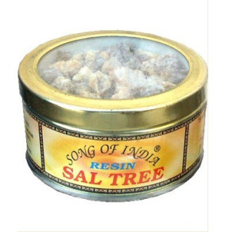Encens resine sal tree
