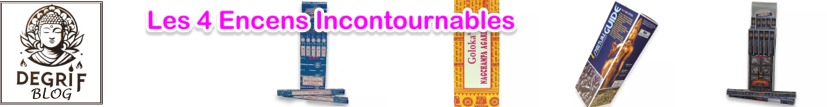 31/08/2024 | Les 4 Encens Incontournables : Nag Champa, Goloka, Spiritual Guide et Super Hit