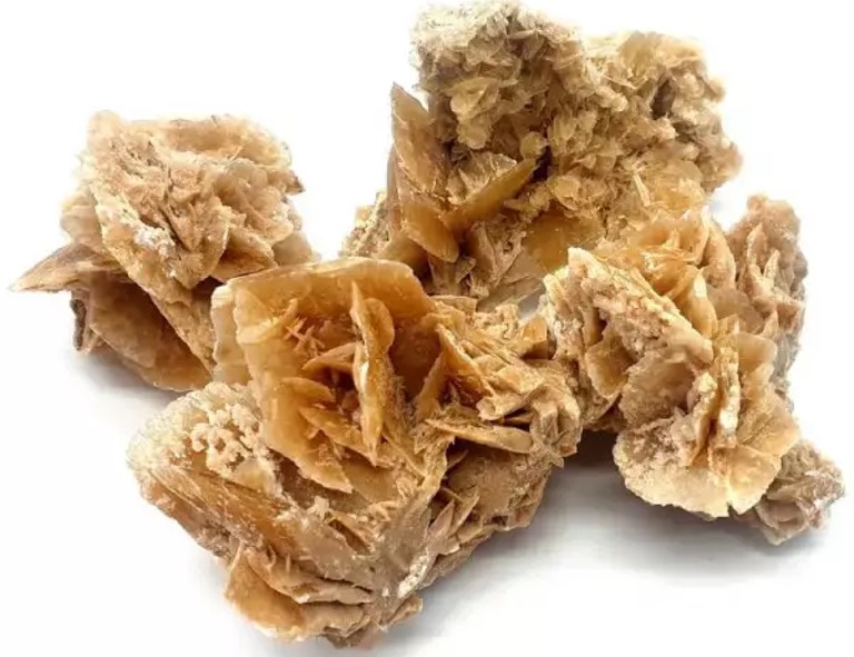 Rose des sables