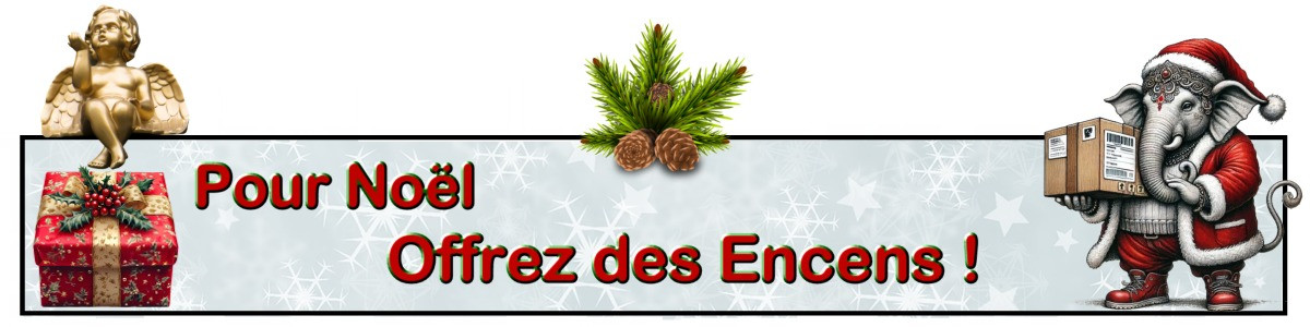 Idées cadeaux de noël pas cher