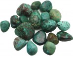 Chrysocolle