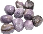 Lapidolite