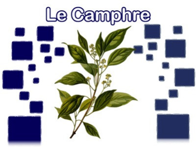 Le Camphre et ses Divers Usages : Un Trésor Polyvalent