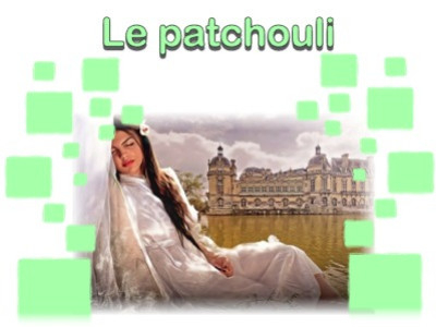 L'énigmatique Patchouli : Parfum, Origines et Encens.