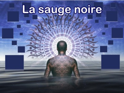 La Sauge Noire : Une Plante Puissante aux Propriétés Curatives