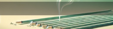 Nag champa en pack