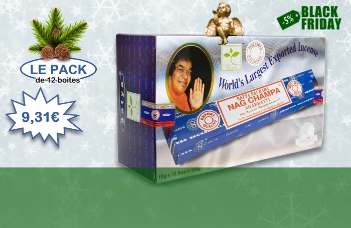 Encens Nag Champa 12 boites